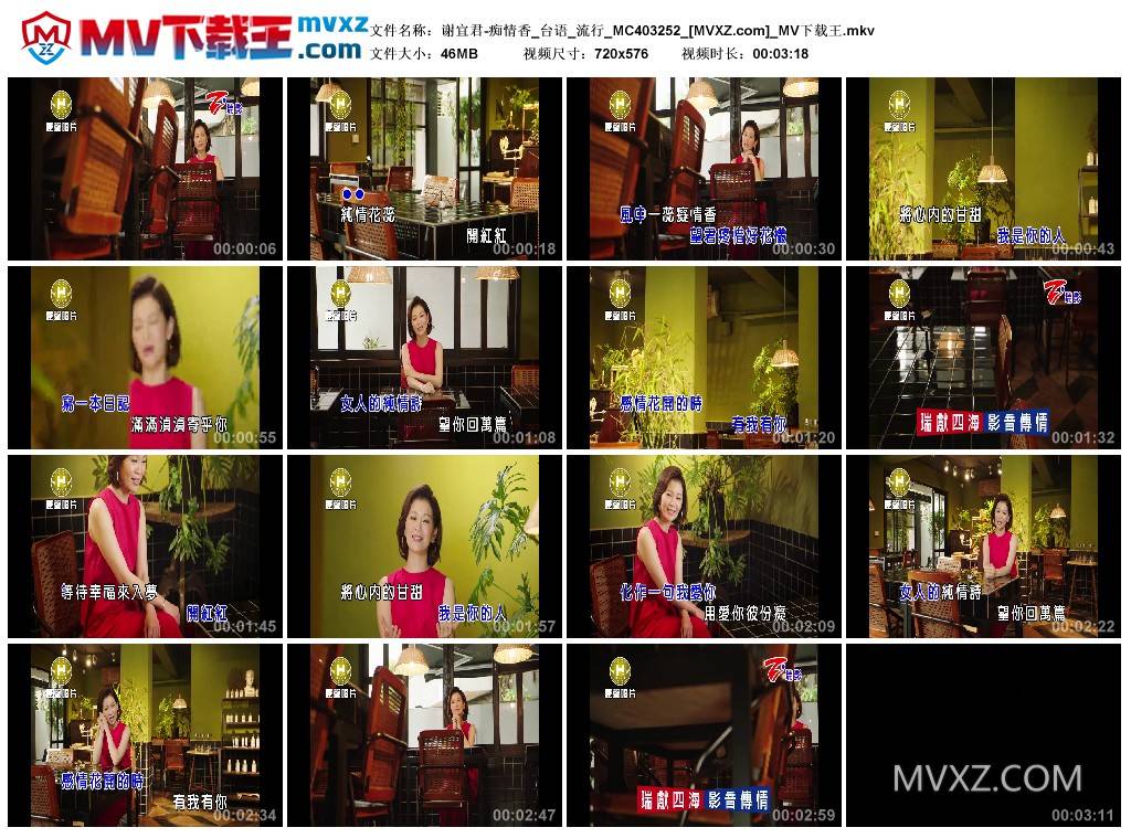 谢宜君-痴情香_台语_流行_MC403252